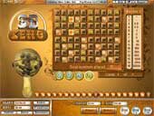 Video Keno Online