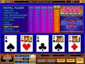 Visit Spin Palace Online Casino